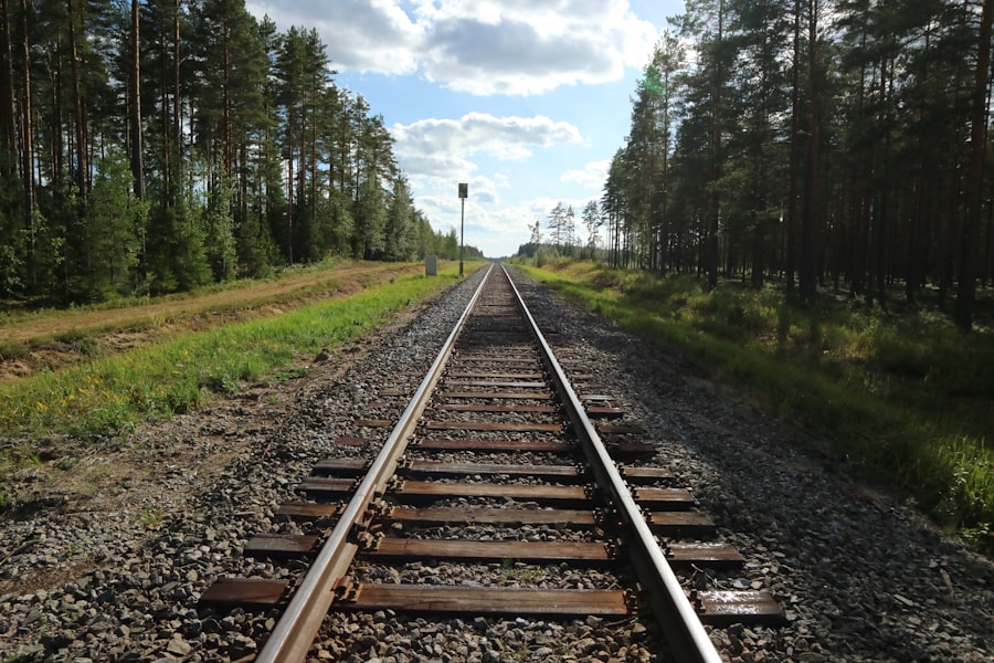 Photo fake rail lines