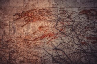 Photo f35 maintenance mapping