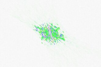 Photo metadata blast radius