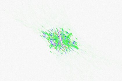 Photo metadata blast radius