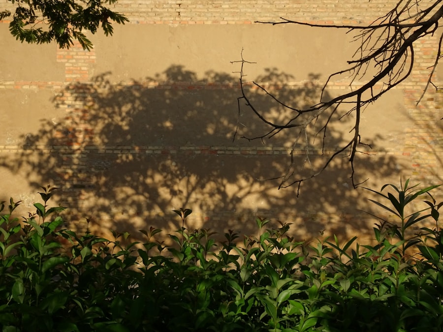 Photo shadow map