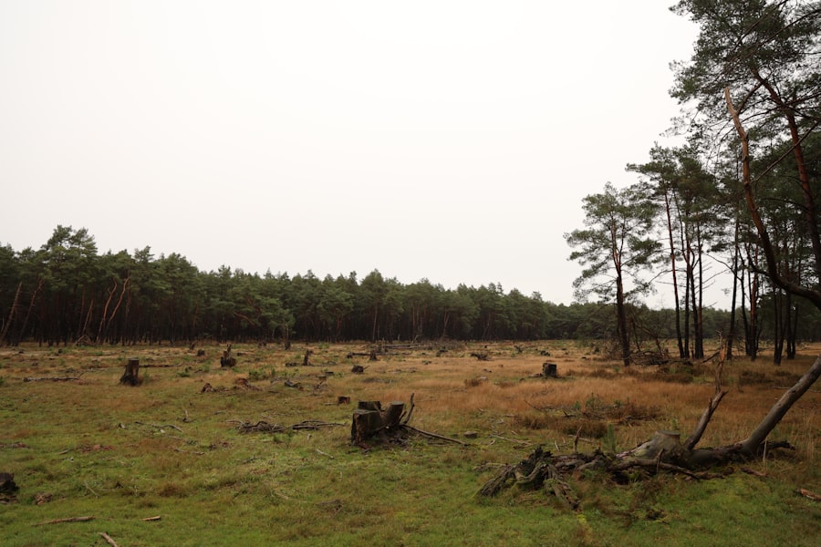 Photo climate impact