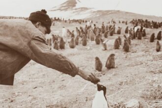 Photo Antarctic Treaty 1959