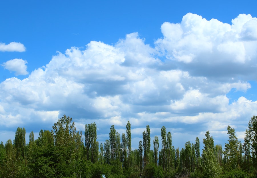 Photo cloud seeding