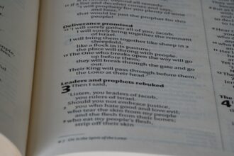 Photo piezometer head readings