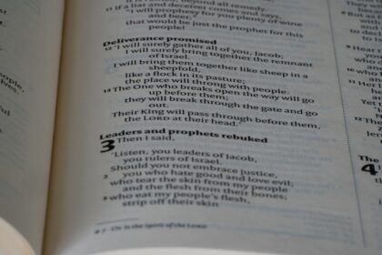 Photo piezometer head readings