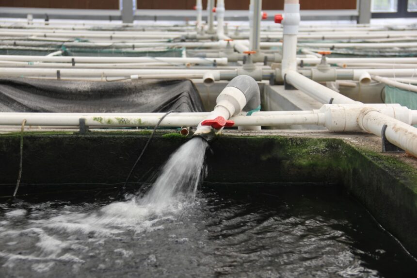 Photo spillway aeration cavitation