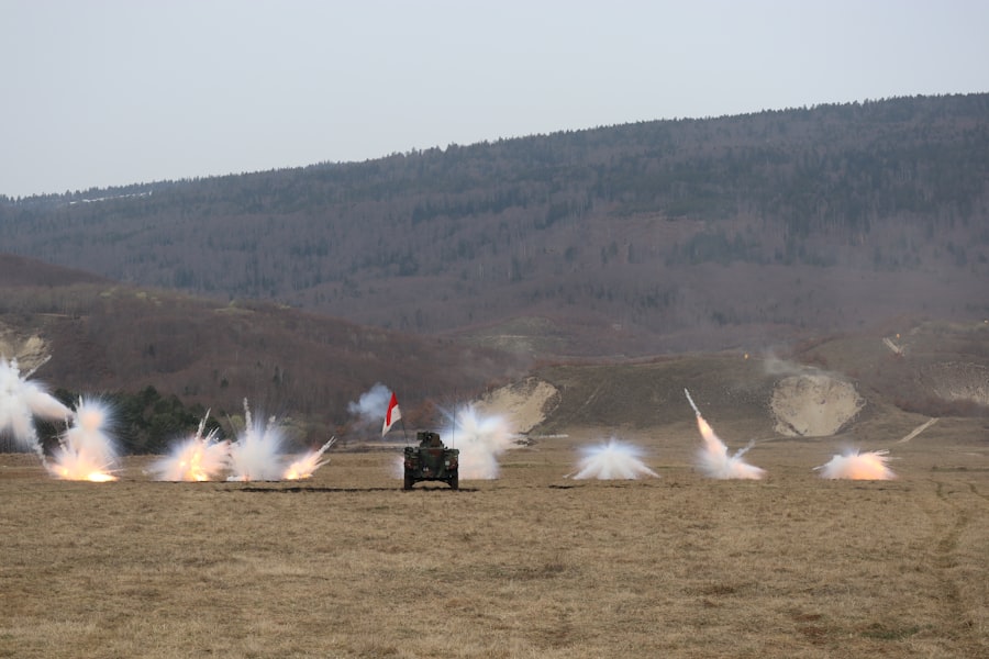 bureaucratic maneuvers