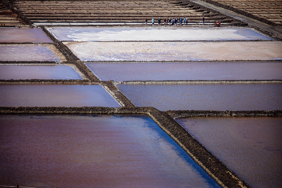 Portuguese salt and wool trade 1400s: trade