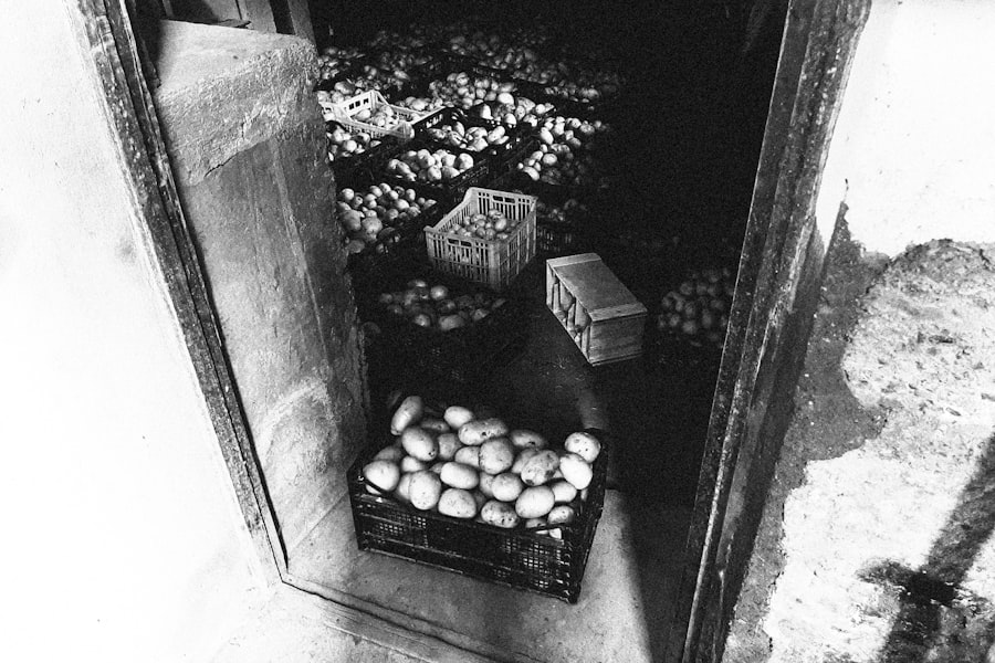 Photo documentary film
