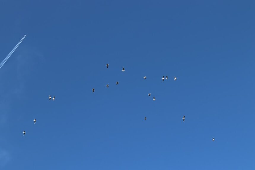Photo drone swarm vs missile defense