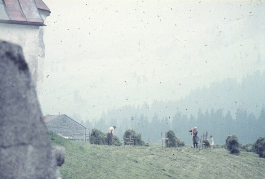 Photo destruction across Germany