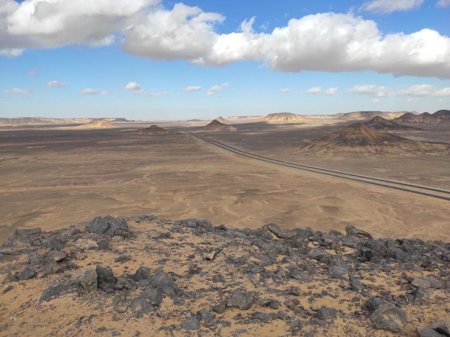 Photo nazi scorched earth orders