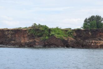 Photo coalition erosion