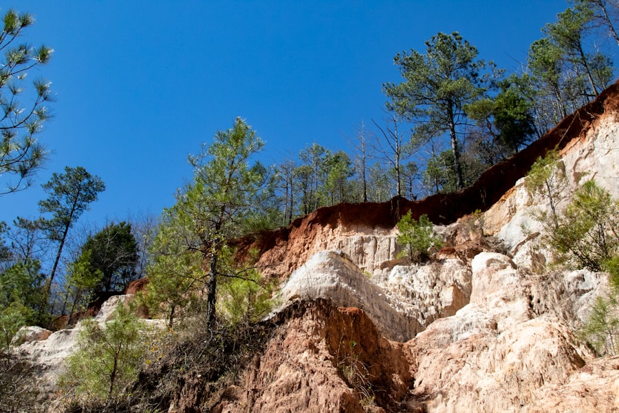 Photo coalition erosion