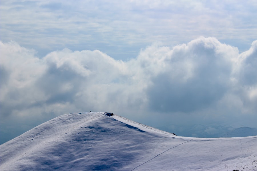 Photo Zagros Mountains survival
