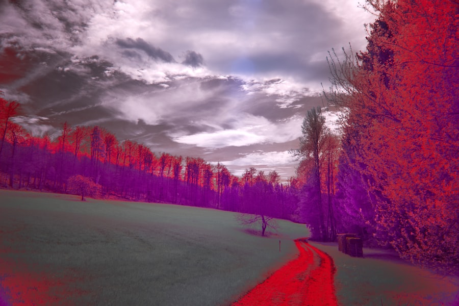 Photo thermal imaging evasion tactics