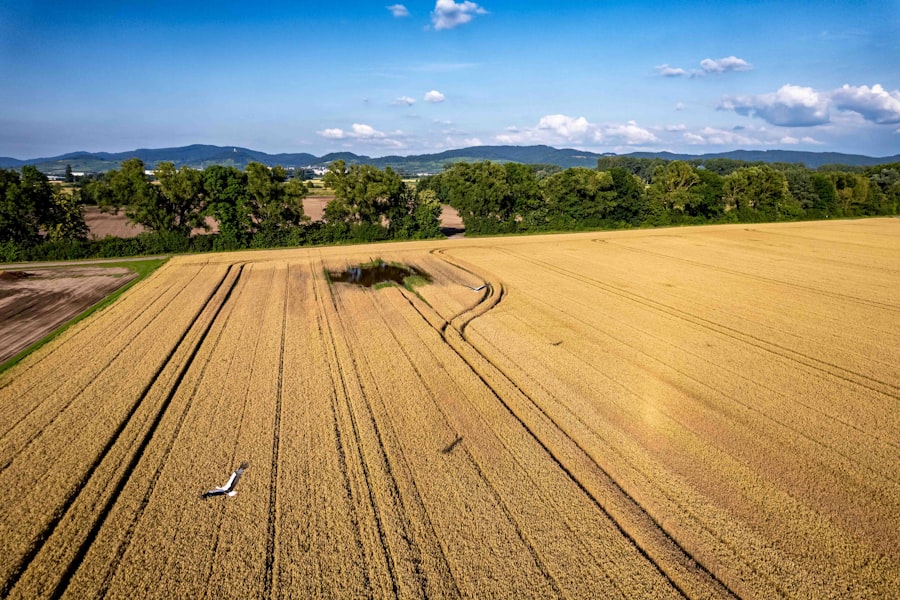 Photo Reaper drone protection