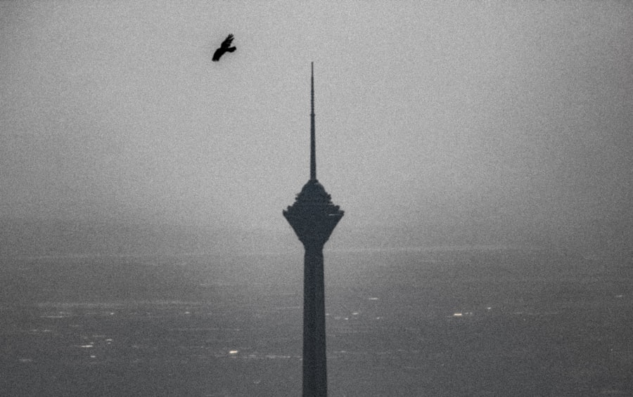 Photo survival Iran F-15E Strike Eagle