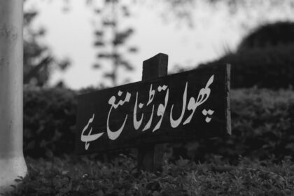 Photo kgb, poisoned, hafizullah amin