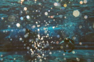 Photo underwater security