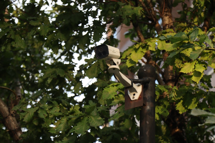 electronic protection