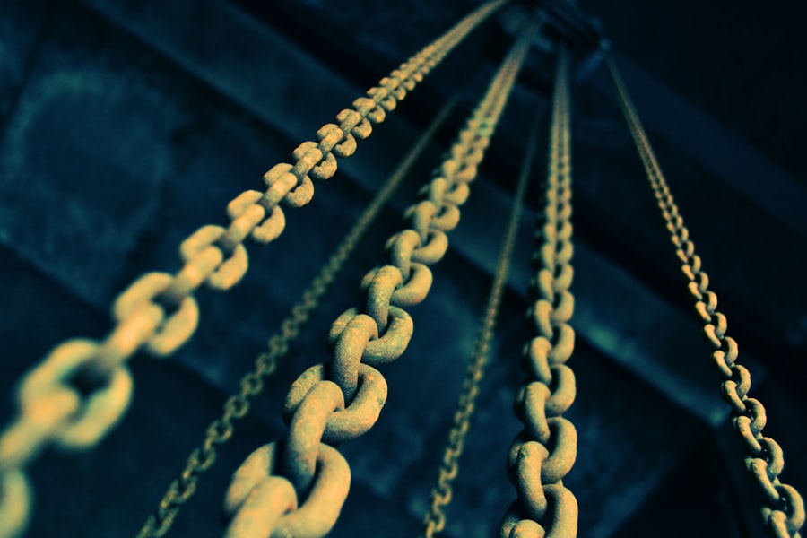 supply chain documentary