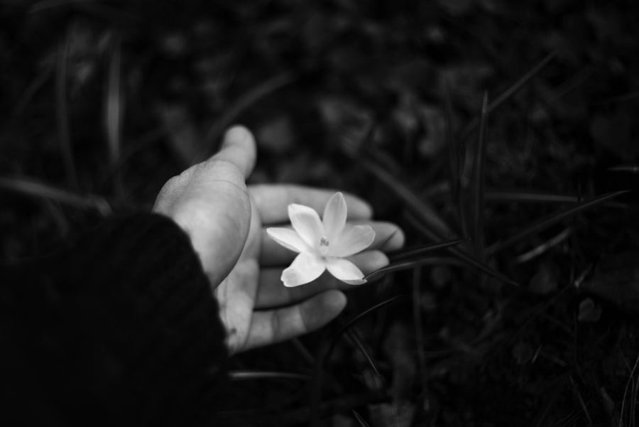 Photo vulnerability