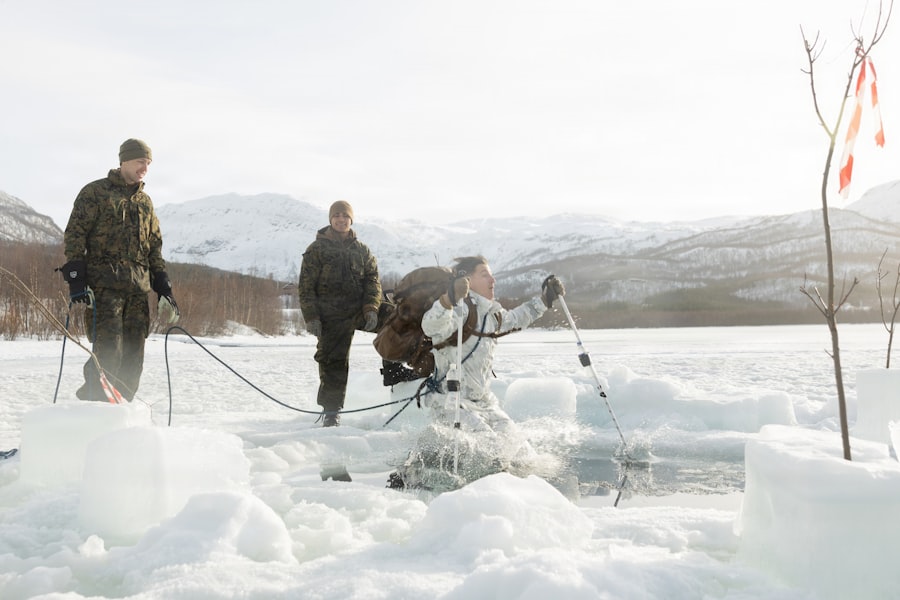 Arctic security