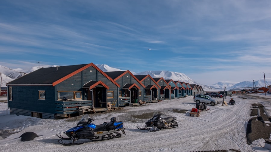 Arctic security