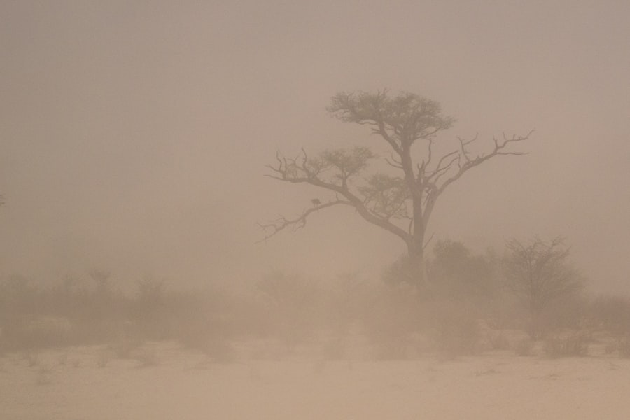 Desert Storm