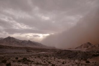 Photo Desert Storm documentary