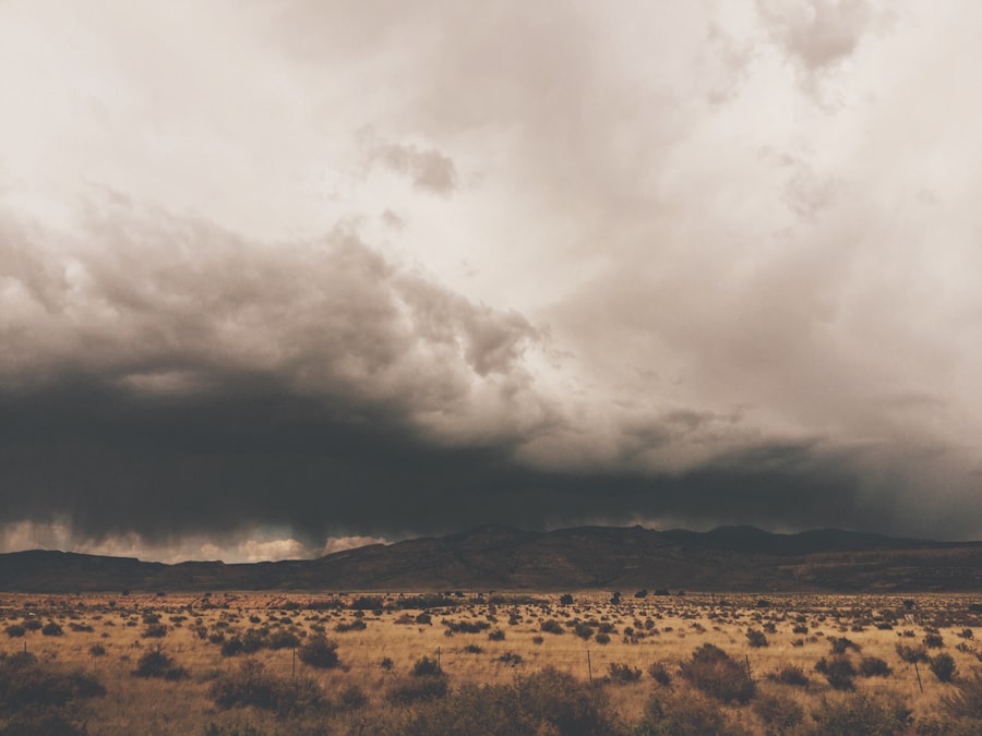 Photo Desert Storm documentary