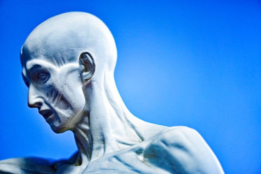 Photo humanoid beings