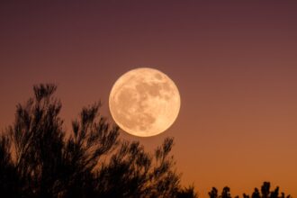 Photo psychic Moon experiment