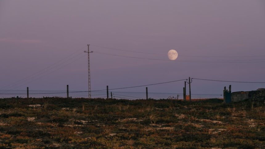 Photo Ingo Swann Axelrod Moon mission