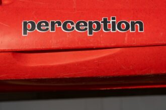 Photo Ingo Swann Penetration