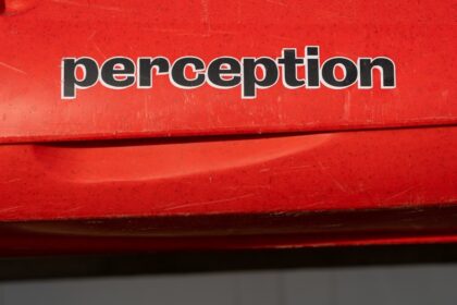 Photo Ingo Swann Penetration