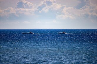 Photo nuclear fleet