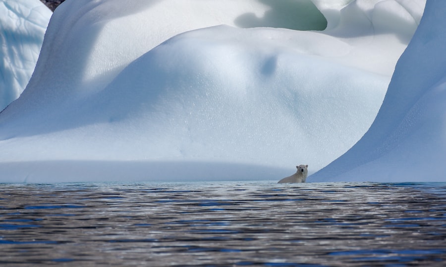 Photo Arctic vulnerability