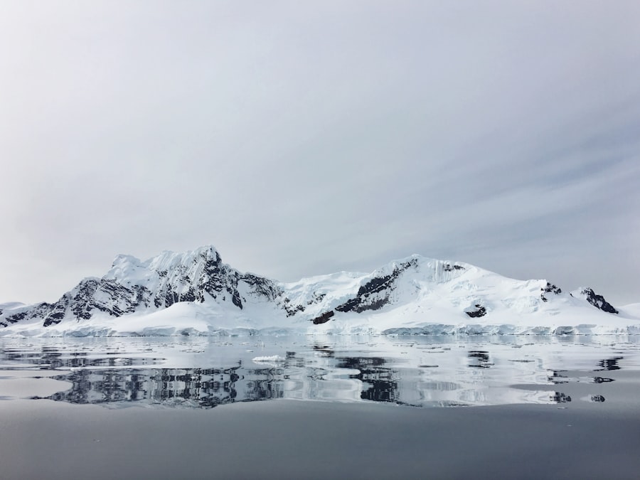 Photo Arctic