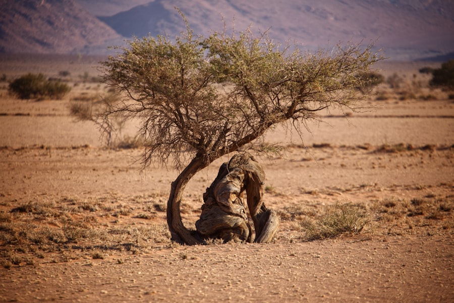 Photo Desert Storm deception strategy left hook