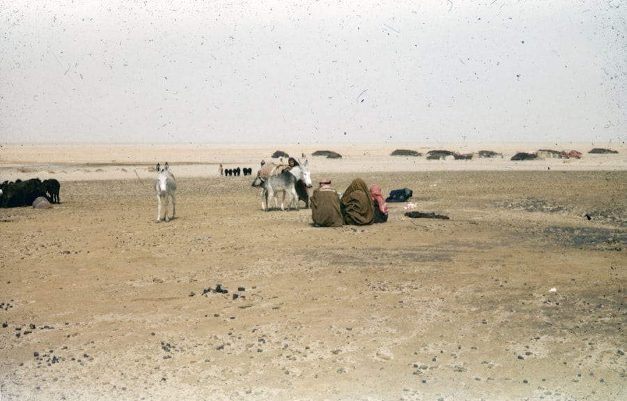 Photo Operation Desert Storm