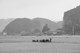 Photo reconnaissance teams Vietnam