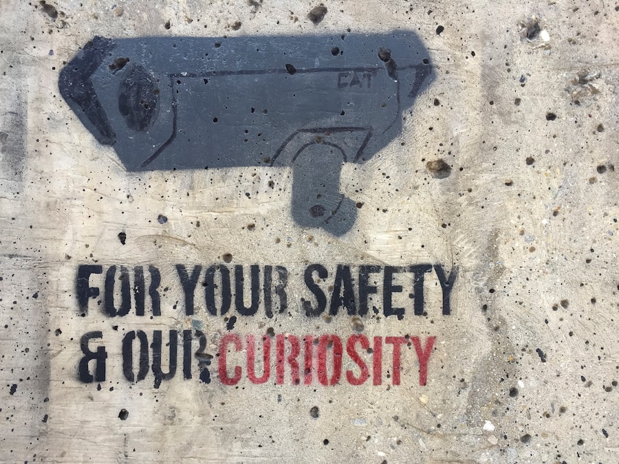 surveillance state