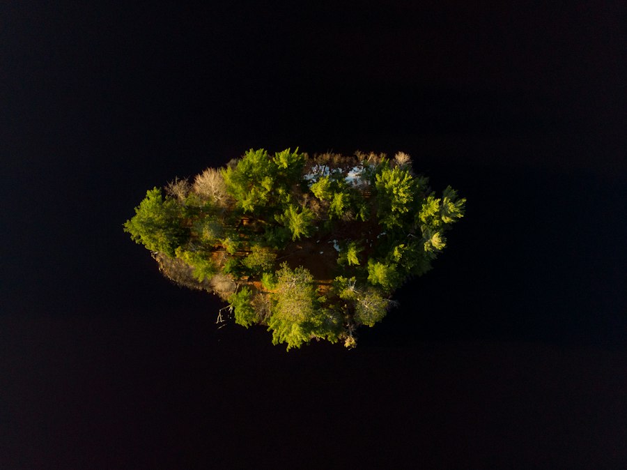 Northwoods
