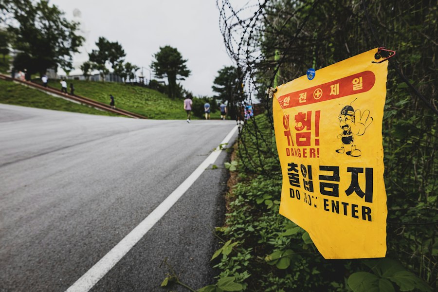 Korean DMZ tree cutting operation