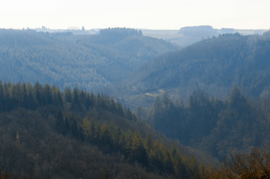 Photo Ardennes Offensive