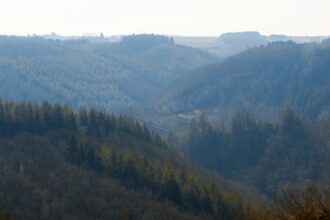 Photo Ardennes Offensive