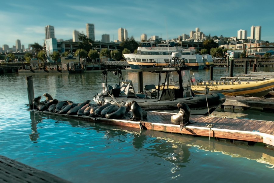 Photo SEAL Team Six maritime specialization